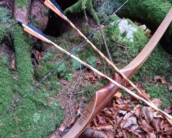 lichtenegger-walter-foto